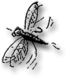 mosquito-115x96.png