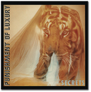 Secrets_front-300x96.png