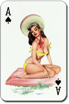 ace-of-spades_350x96.png